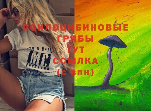 метадон Краснослободск