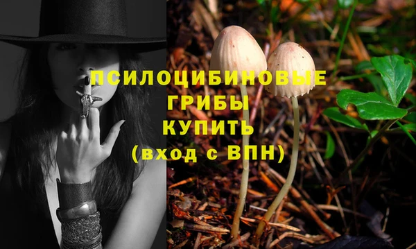 хмурый Кулебаки