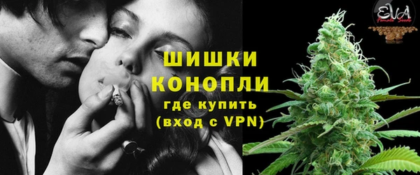 прущие грибы Кукмор