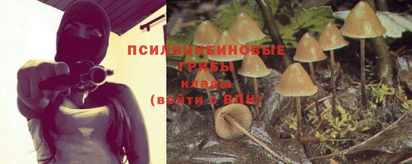 стаф Гвардейск
