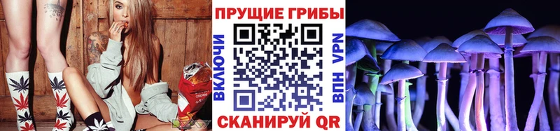 Псилоцибиновые грибы Magic Shrooms  Лакинск 